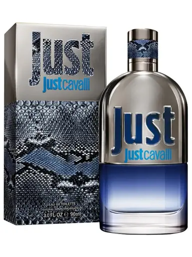 [3607346236581] ROBERTO JUST CAVALLI MEN EDT 90ML